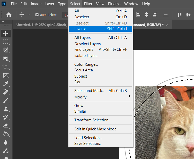 A real photo of a cat, with a rough freehand selection drawn around it and the Select menu open, Inverse highlighted